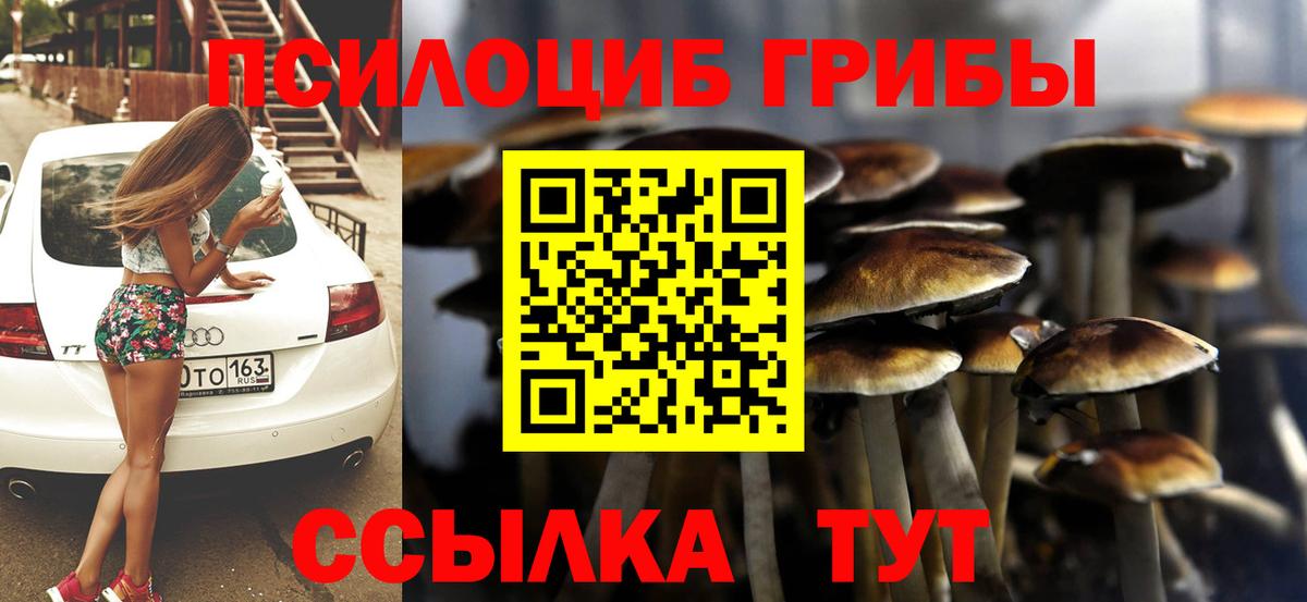 Галлюциногенные грибы Psilocybine cubensis Партизанск